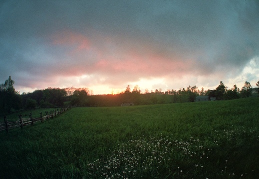 Field at Sunset